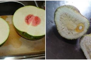 10 Momen zonk saat kupas buah, mau ketawa tapi kasihan