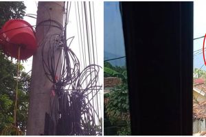 8 Penampakan aneh di tiang listrik ini bikin gagal fokus