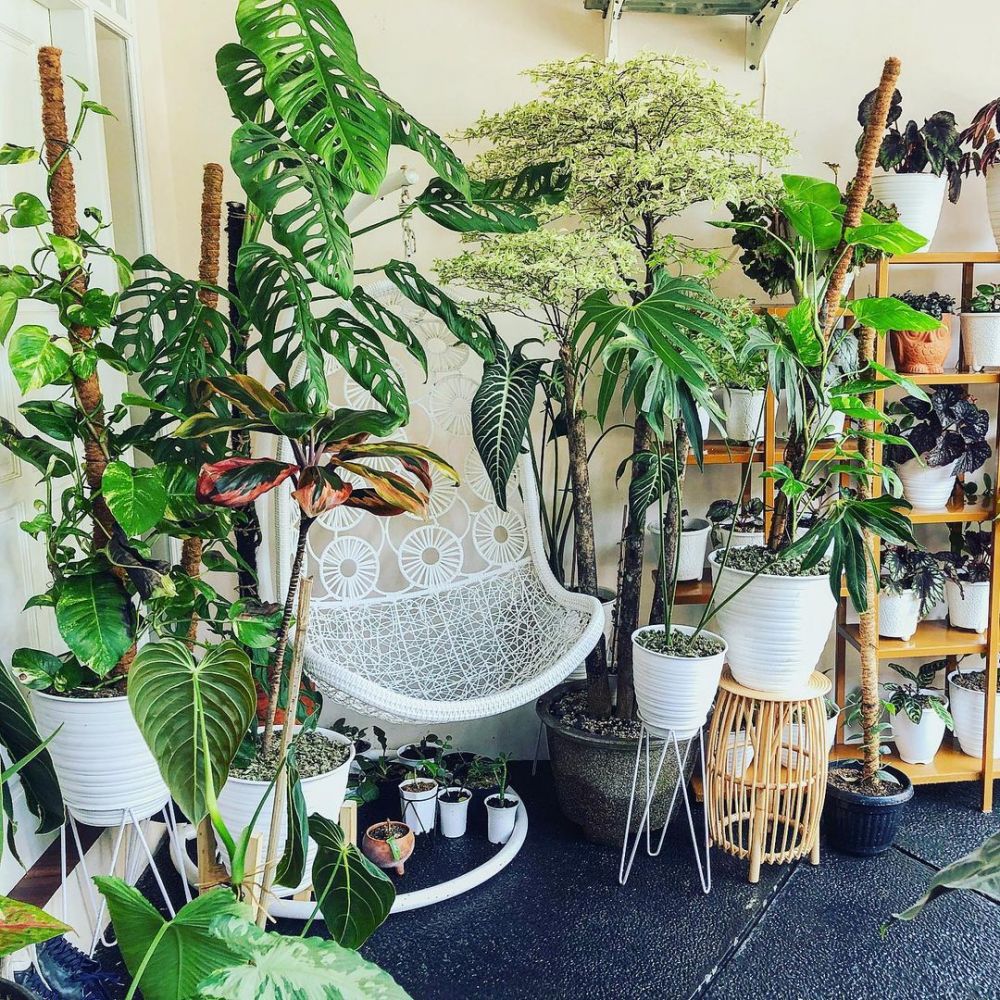 8 Potret rumah mama Rachel Vennya, penuh dengan tanaman