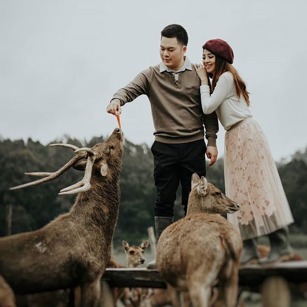 Pemotretan prewedding 10 seleb dengan hewan, curi perhatian