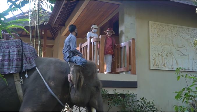 8 Momen Titiek Soeharto dijemput gajah untuk sarapan, curi perhatian
