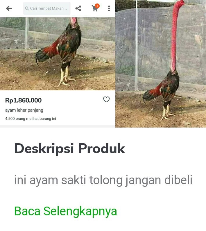 13 Deskripsi lucu barang jualan di online shop ini bikin tepuk jidat