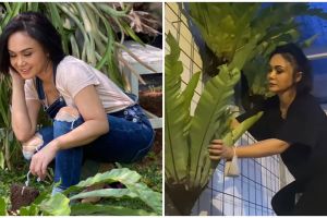 10 Momen Yuni Shara lakukan pekerjaan rumah, serba sendiri