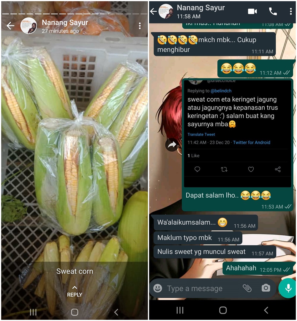 10 Chat WhatsApp lucu dengan tukang sayur ini endingnya bikin ngakak