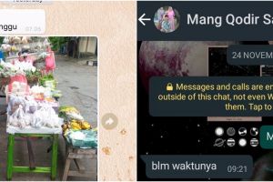 10 Chat WhatsApp lucu dengan tukang sayur ini endingnya bikin ngakak