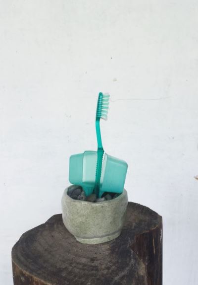 10 Potret lucu tanaman bukan dari tumbuhan ini kelewat kreatif