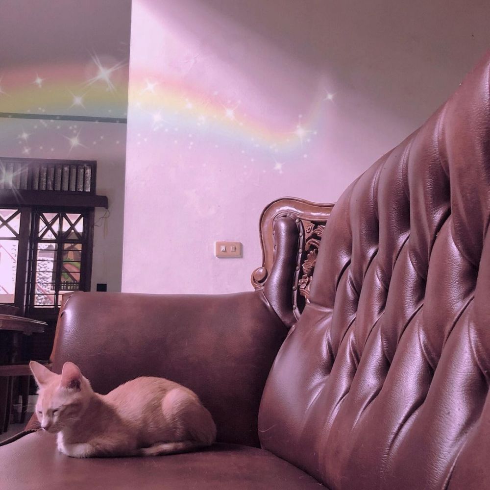 10 Potret rumah Fatin Shidqia Lubis, didominasi warna cokelat