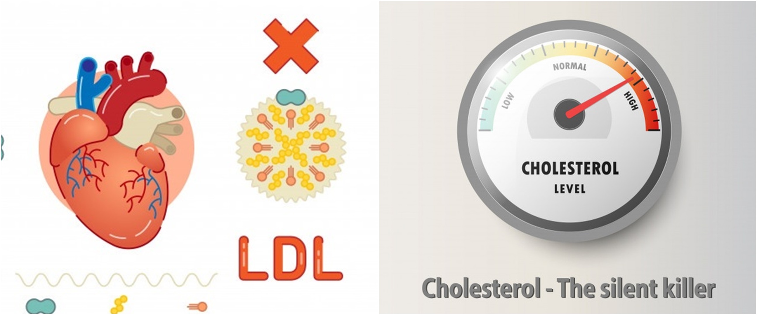 10 Cara menurunkan kolesterol tinggi secara alami, tanpa efek samping