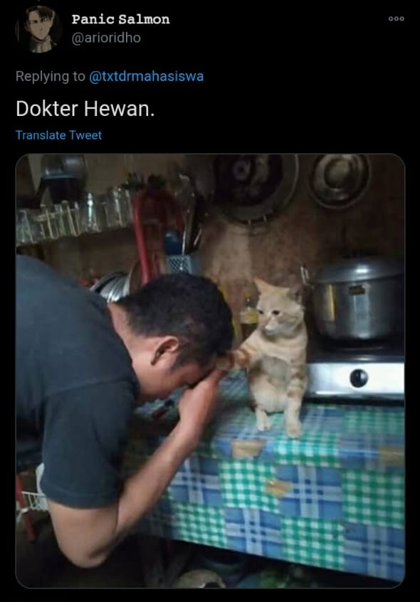 12 Cocoklogi jurusan kuliah ala warga Twitter, lucunya ada-ada aja