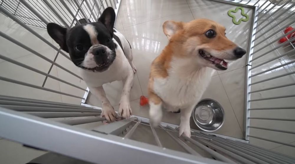 15 Potret rumah Jess No Limit, megah dominasi warna putih