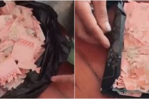 Disimpan 3 tahun lebih, uang Rp 15 juta ini hancur dimakan rayap