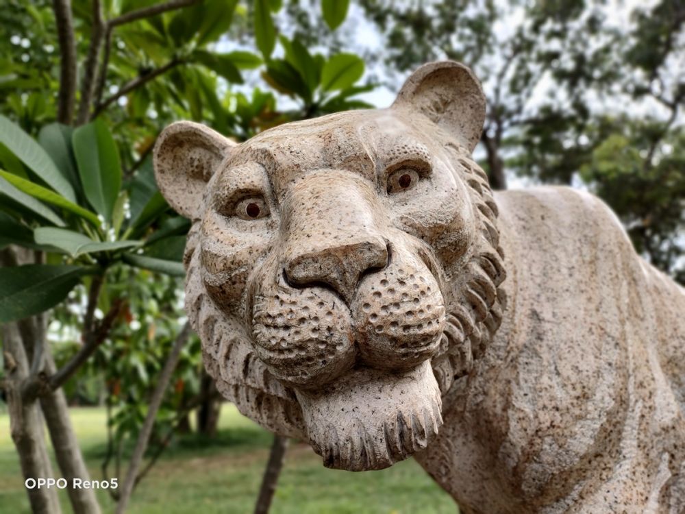 Fitur kamera Oppo Reno5 ini bikin kamu bak editor film kelas atas