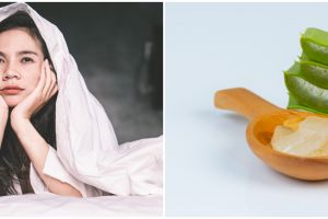 Cara membuat masker mata dari lidah buaya, ampuh atasi mata panda