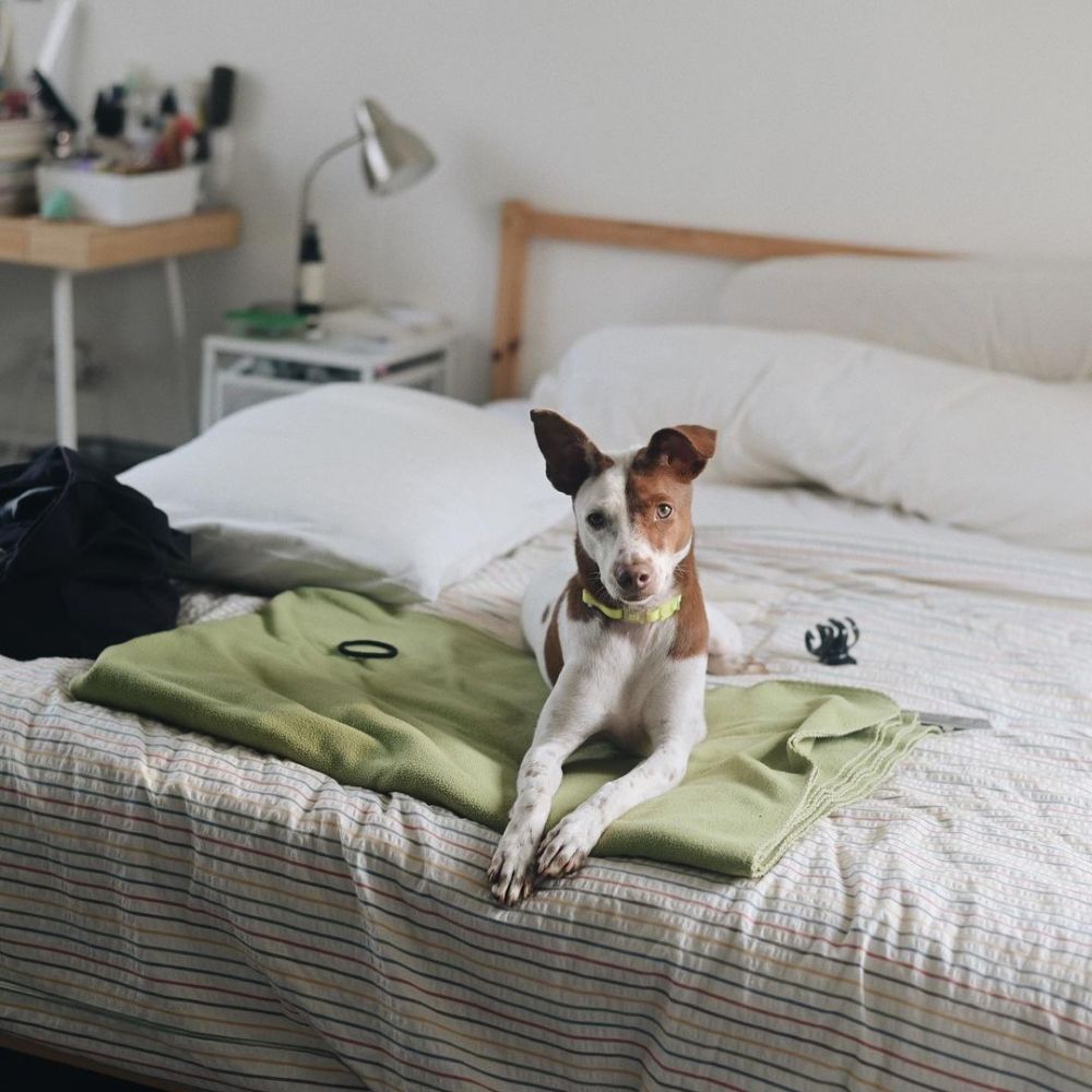 10 Potret hunian Rara Sekar kakak Isyana Sarasvati, miliki kebun sayur