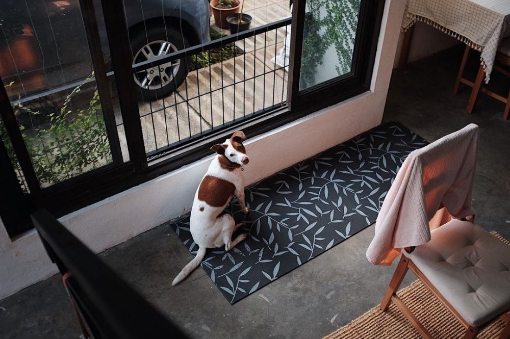 10 Potret hunian Rara Sekar kakak Isyana Sarasvati, miliki kebun sayur