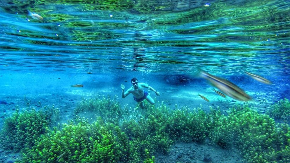 9 Destinasi wisata alam di Malang yang menarik untuk dikunjungi