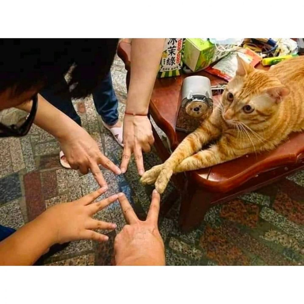 10 Kelakuan kurang kerjaan pas di rumah, lucunya bikin tepuk jidat