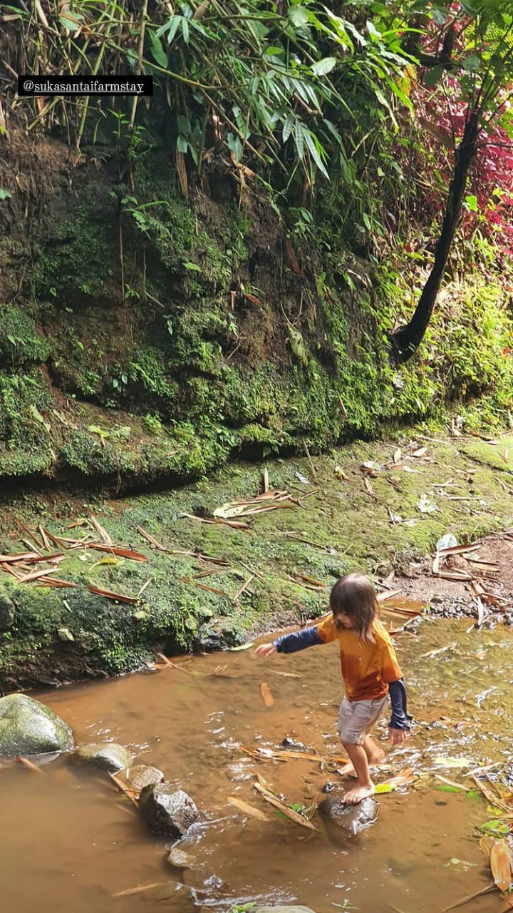 9 Momen liburan awal tahun Ringgo Agus & keluarga, panen di kebun