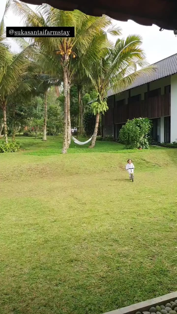 9 Momen liburan awal tahun Ringgo Agus & keluarga, panen di kebun