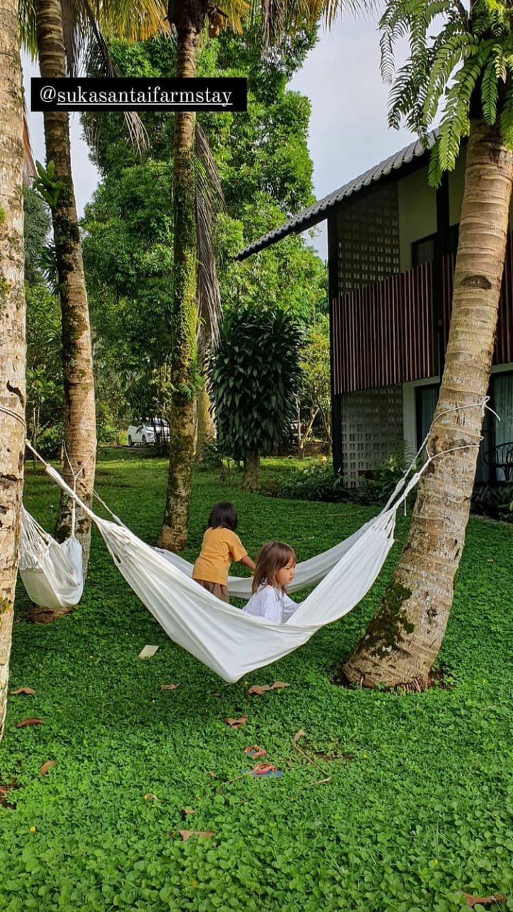 9 Momen liburan awal tahun Ringgo Agus & keluarga, panen di kebun