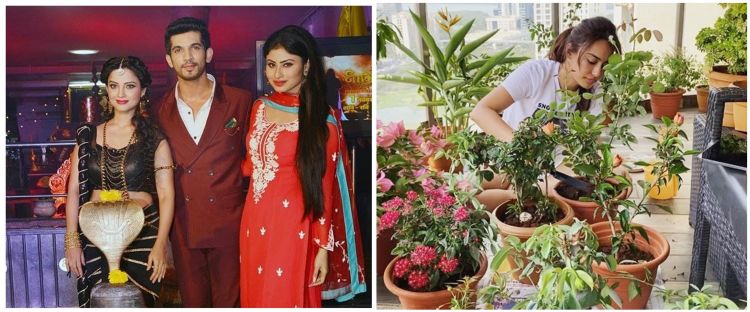 Potret rumah 10 pemain Naagin, hunian Mouni Roy