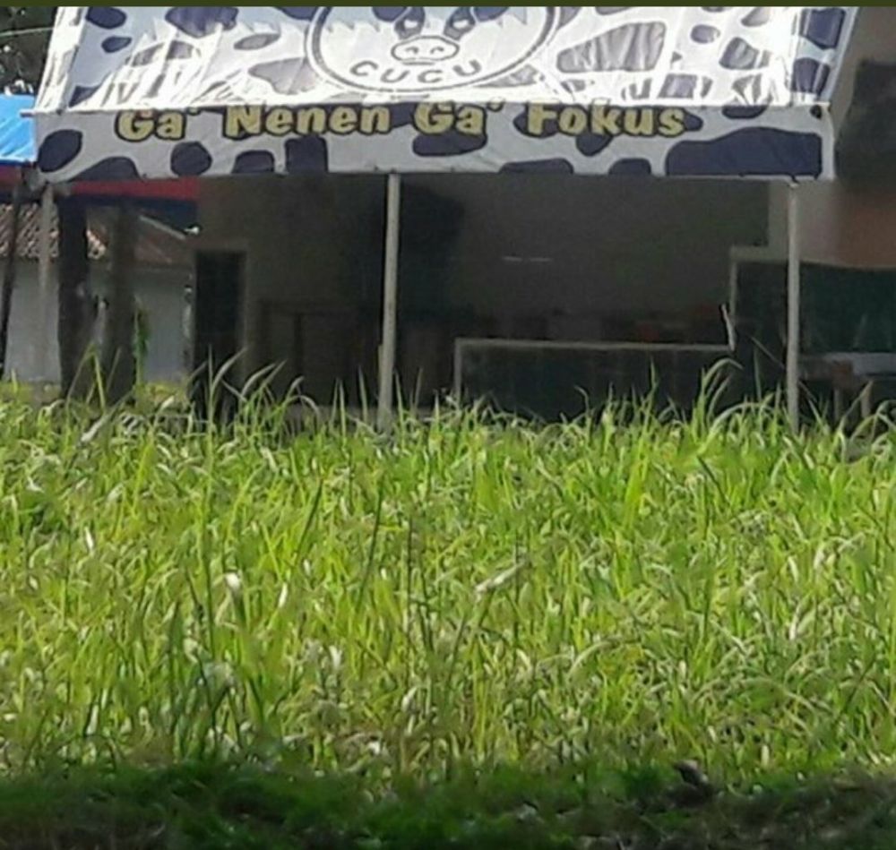 12 Desain lucu spanduk usaha ini bikin pelanggan senyum tipis