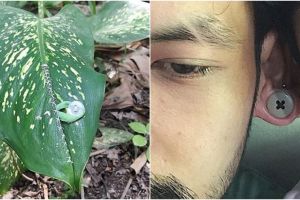 9 Cara unik dan nyeleneh pakai kancing ini bikin gagal paham