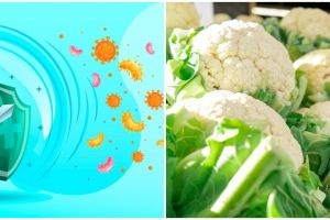 8 Makanan penambah daya tahan tubuh di musim hujan