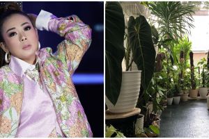 11 Potret terbaru rumah Soimah usai dipenuhi tanaman, bikin melongo