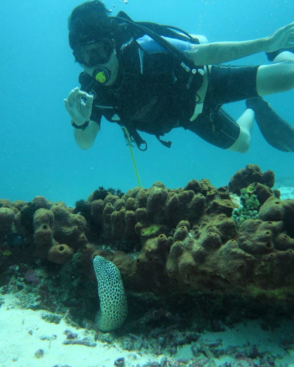 Cerita 7 seleb hobi diving, Hamish Daud menggeluti sejak kecil
