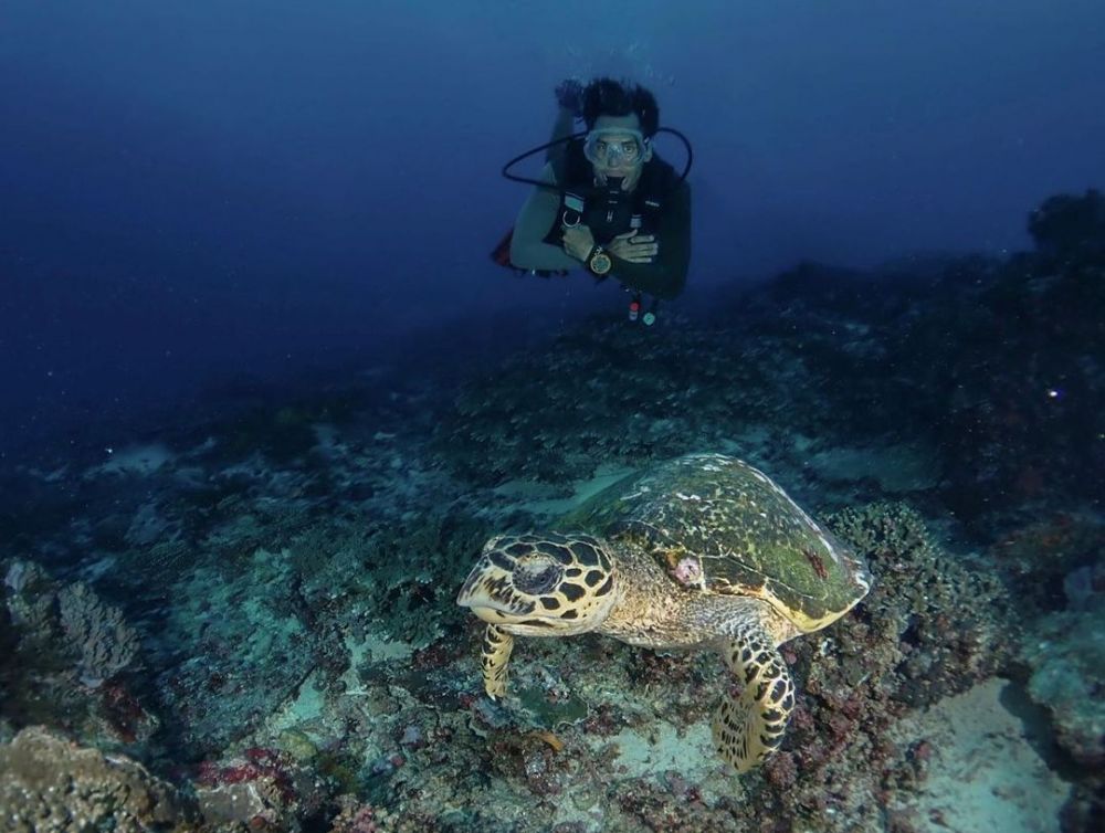 Cerita 7 seleb hobi diving, Hamish Daud menggeluti sejak kecil