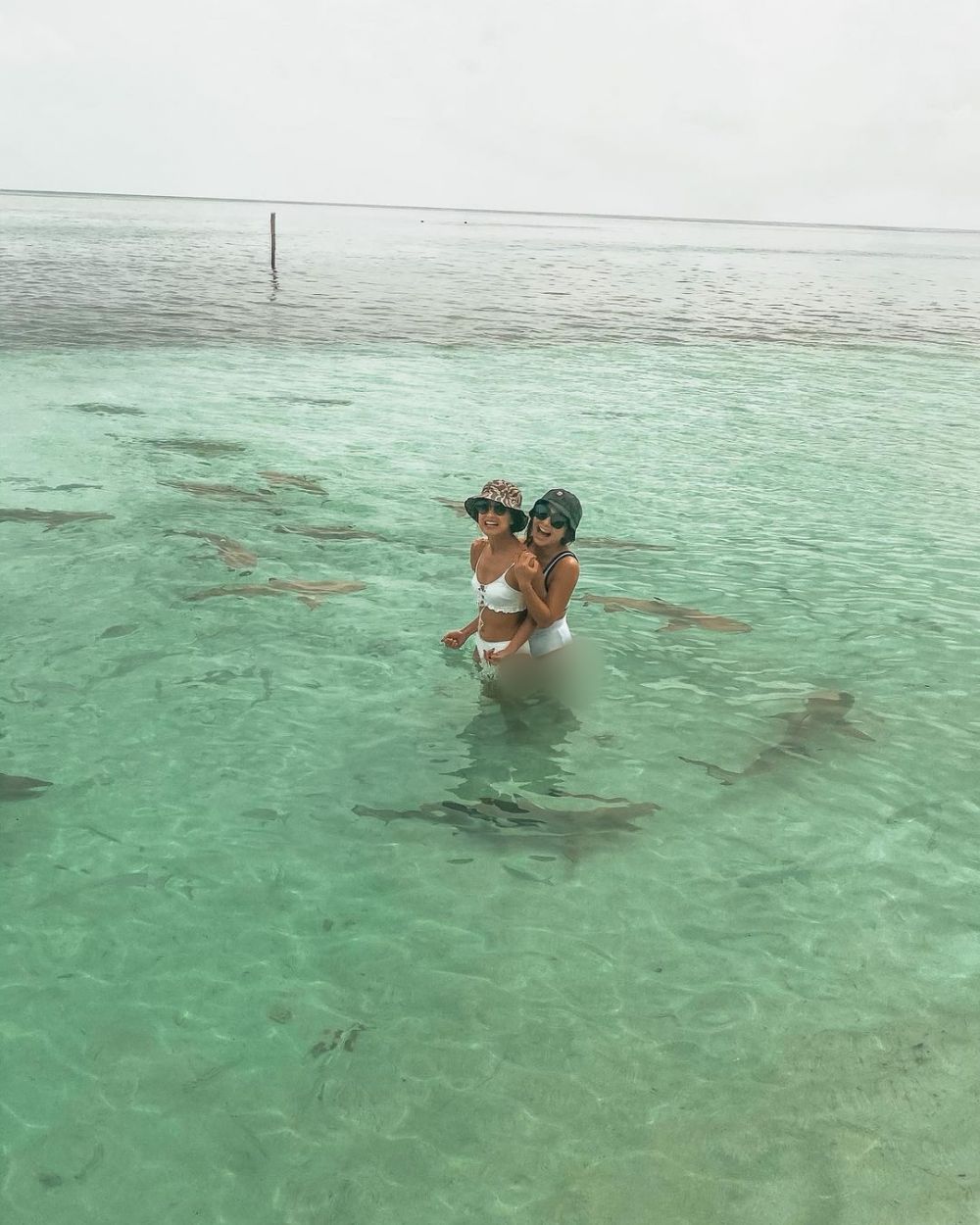10 Momen seru Nikita Willy di Raja Ampat, berenang bareng hiu