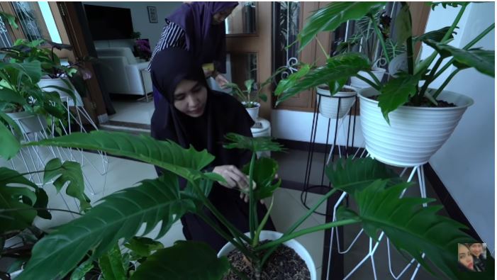 10 Potret kebun dalam rumah Kartika Putri, asri dan indah