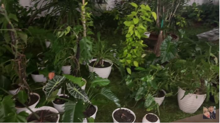 10 Potret kebun dalam rumah Kartika Putri, asri dan indah