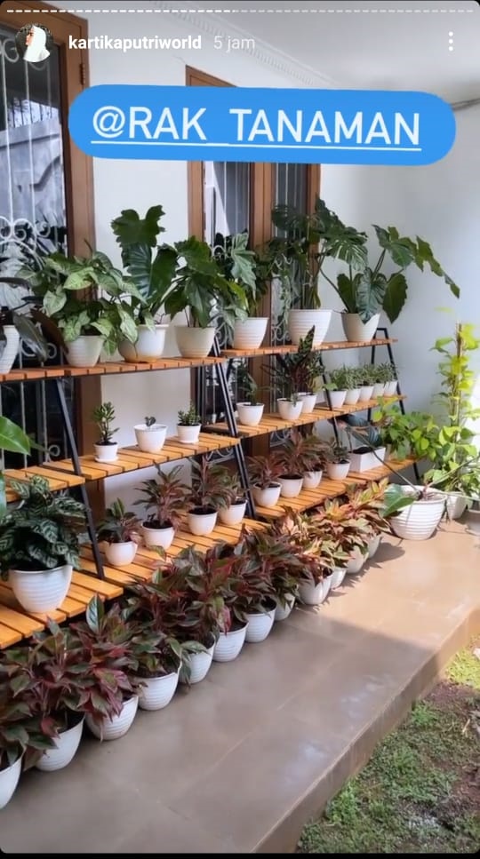 10 Potret kebun dalam rumah Kartika Putri, asri dan indah