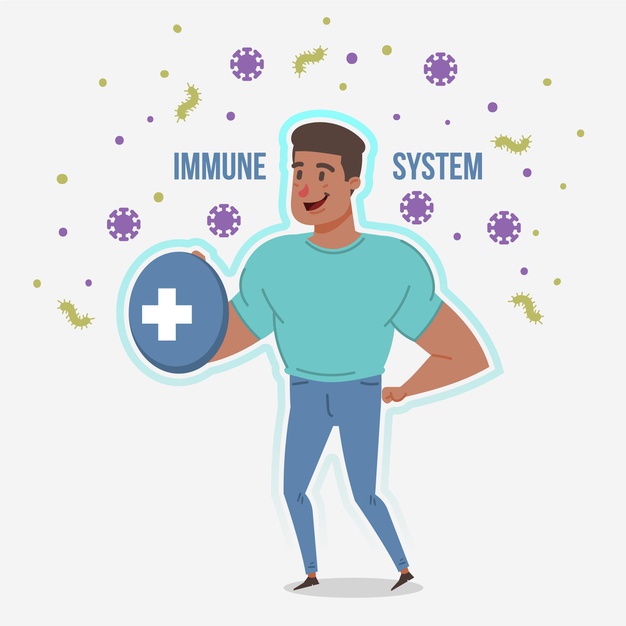 10 Manfaat kembang kol untuk kesehatan, kaya antioksidan