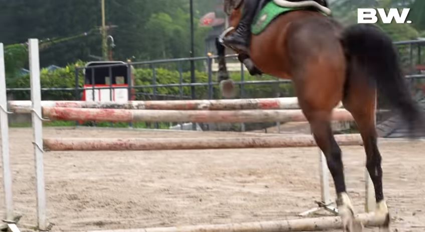 10 Potret fasilitas rumah mewah Aleta Molly, ada lapangan golf