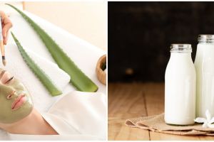 Cara membuat masker lidah buaya campur susu, mudah dan praktis