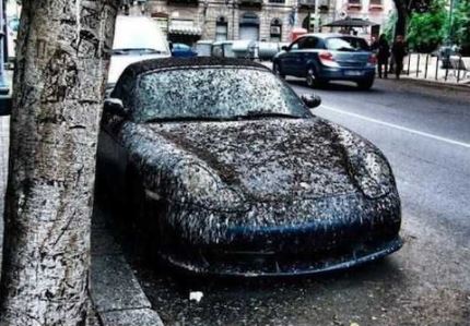 20 Momen apes saat parkir sembarangan ini bikin tepuk jidat