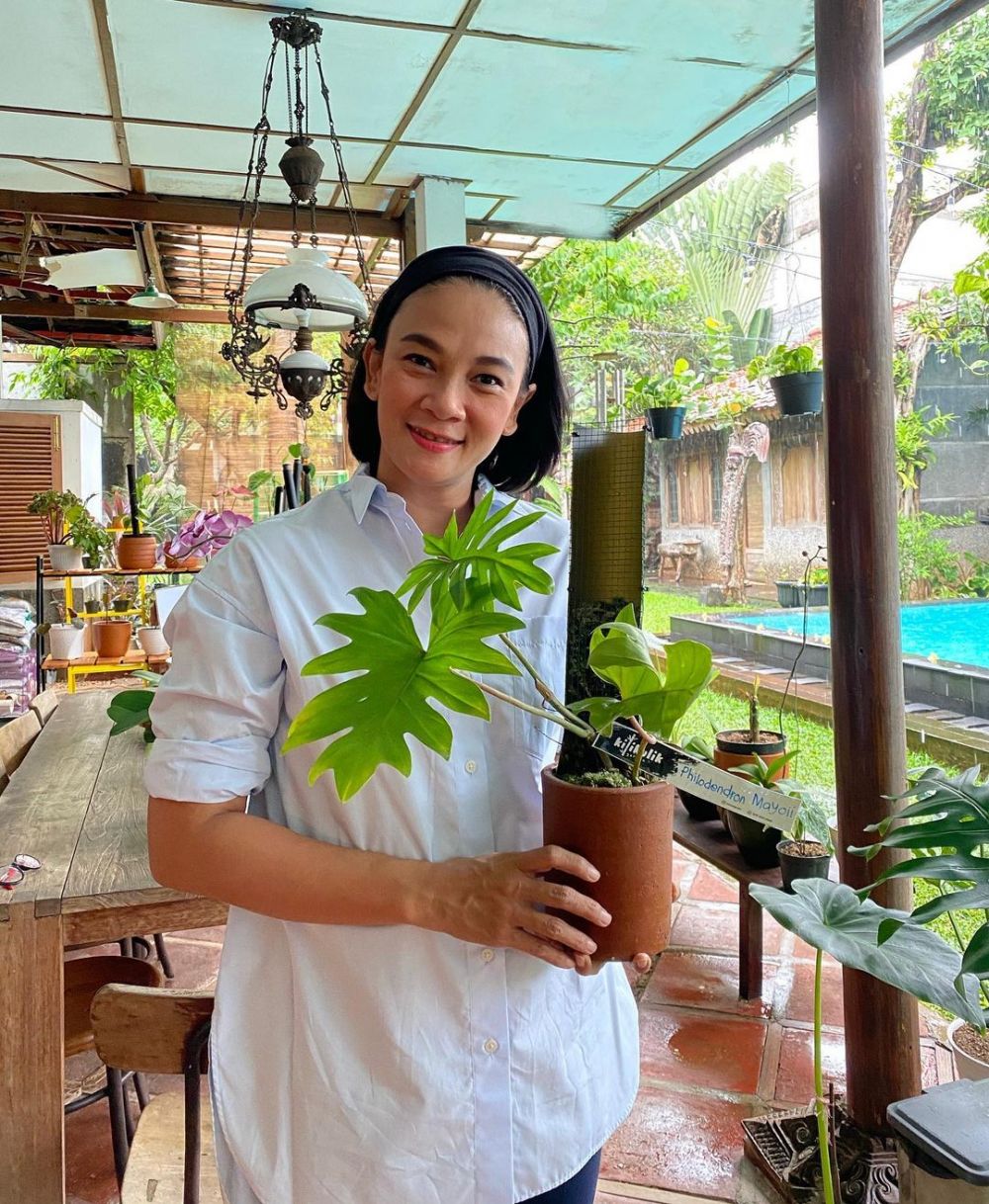 8 Potret koleksi tanaman Dian Nitami, kuping gajahnya curi perhatian