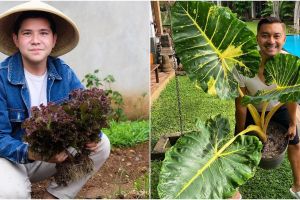 6 Seleb pria gemar berkebun, ada yang jadi petani kota saat PSBB