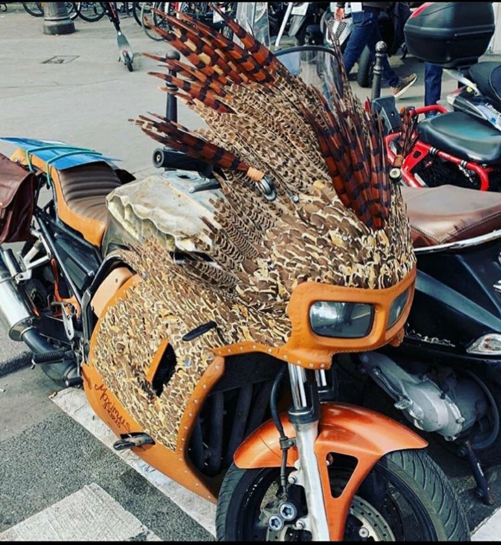 10 Modifikasi motor jadi berbulu ini bikin ngerutin dahi