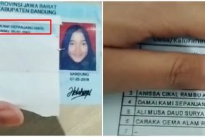 Viral nama anak terinspirasi judul lagu Iwan Fals, fans garis keras