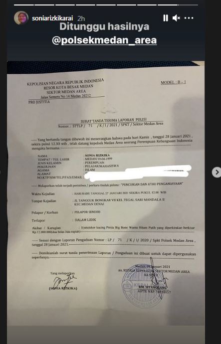 Viral cerita wanita temukan kucing peliharaannya mati termutilasi