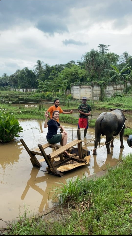 Tak takut kotor dan lumpur, ini 9 momen seru Ayu Ting Ting bertani