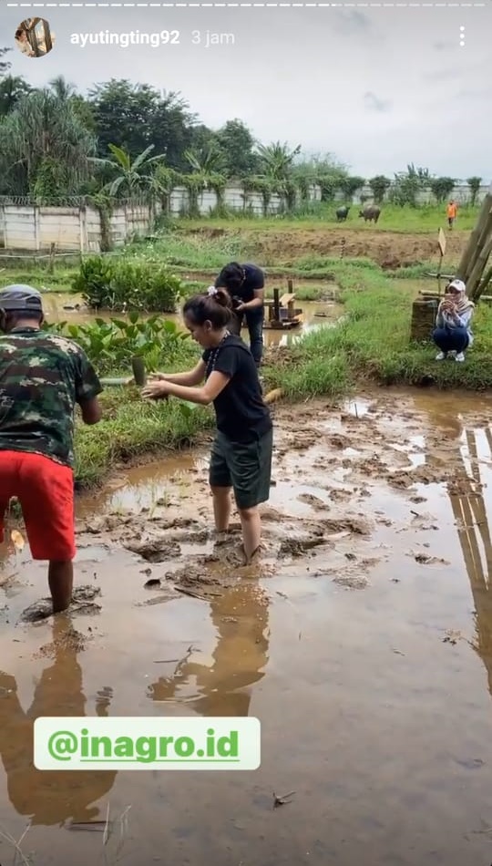 Tak takut kotor dan lumpur, ini 9 momen seru Ayu Ting Ting bertani