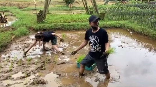 Tak takut kotor dan lumpur, ini 9 momen seru Ayu Ting Ting bertani