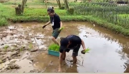 Tak takut kotor dan lumpur, ini 9 momen seru Ayu Ting Ting bertani