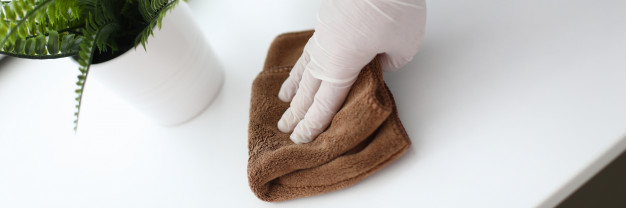 8 Cara merawat aglonema silver queen, bikin tanaman sehat