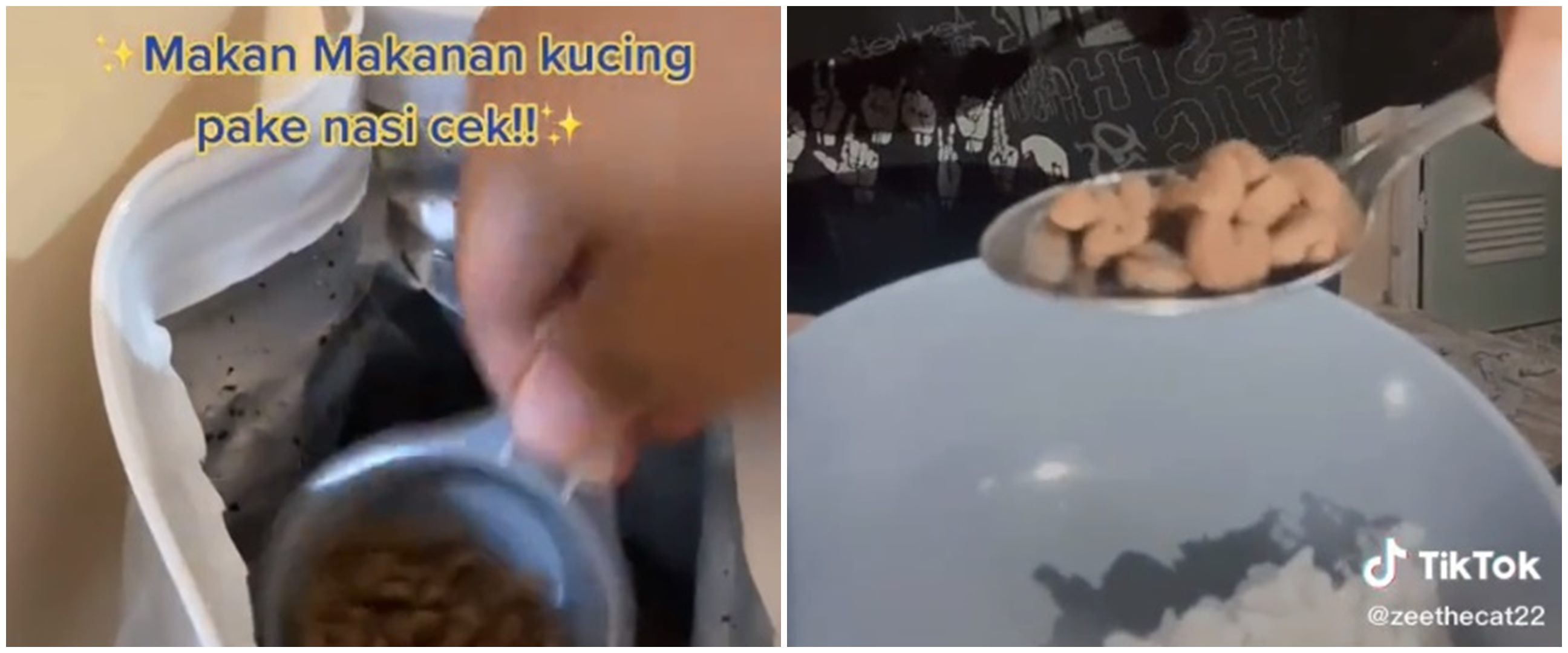 Viral video aksi pria cicipi makanan kucing pakai nasi